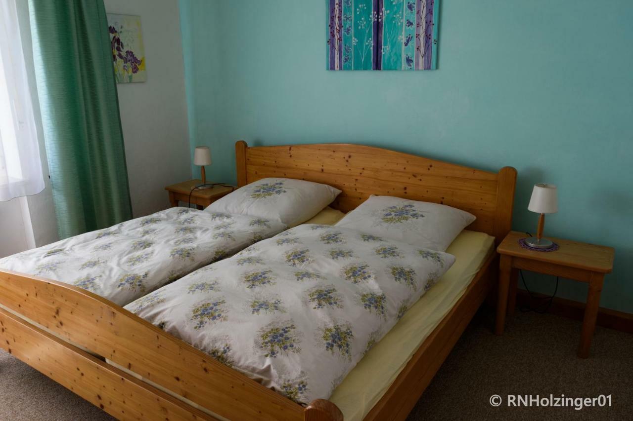 האוצנברג Ferienwohnung Holzinger מראה חיצוני תמונה